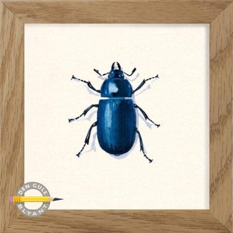 Blåhjort. Lucanus cervus. Akvarel illustration.