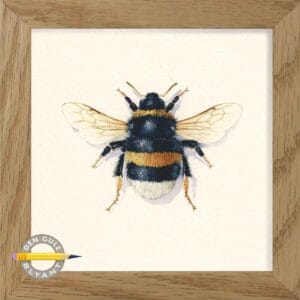 Lys jordhumle. Bombus lucorum. Almindelig i Danmark