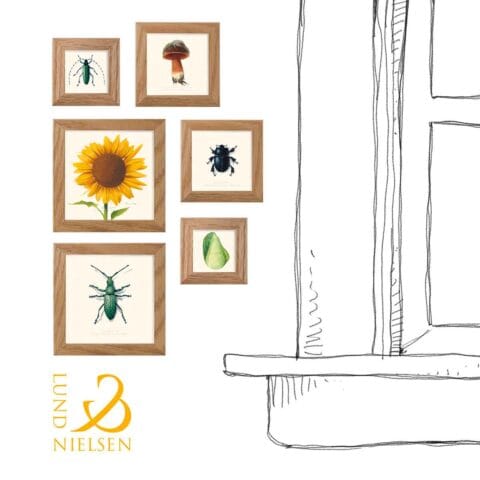 Solsikke. En fantastisk plante. Fra frø til flere meter på en sommer. Kunstprint fra Lund og Nielsen
