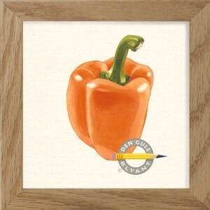 Peberfrugt. Skøn i salater. Kunstprint fra Lund og Nielsen efter egne illustrationer.